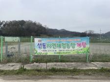 사진1